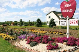 Christ Orchard